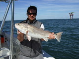 Gulf of Mexico Fishing