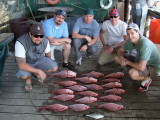 Snapper for everyone