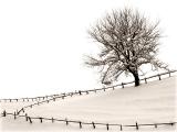 Wintertag / Winterday
