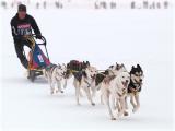 Dog sledding / Schlittenhunderennen