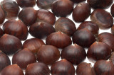 chestnuts-A350-CZ1680.jpg