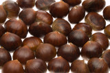 chestnuts-EOS7D-EFS1585.jpg
