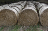 strawbales1.JPG