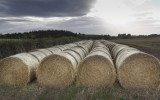 strawbales2.JPG