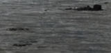 rockdetail.jpg