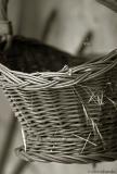 23 July 2005 - Basket