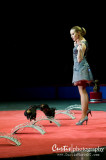 Ringling Bros Circus