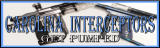 Carolina Interceptors Banner4.jpg
