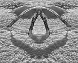 BONHOMME NEIGEUX