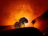 MYSTIQUE LANDSCAPE