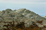 PARC DU BIC