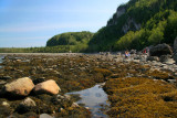 PARC DU BIC