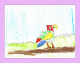 parrot.jpg