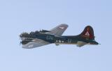 B17 Thunderbird 001.jpg