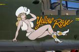 B25 Yellow Rose.jpg