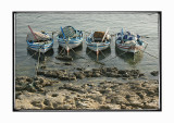 Little fishing boats