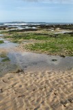 Bamburgh beach