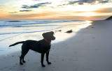 5he one who gets me up in time for the sunrise