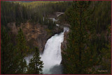 56 - Yellowstone Park