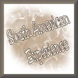 South American Experience