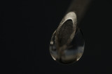 Rodenstock Apo-Rodagon 50mm f2.8