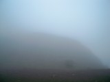 Behemoth or Mountain?