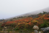 DSC05190.JPG