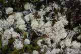 DSC05237.JPG