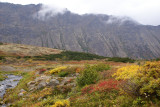 DSC05246.JPG