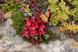 DSC05251.JPG
