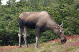 DSC05261.JPG