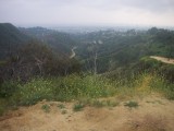 Hills around L.A.