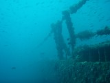 Dive trip to the HMAS Brisbane