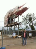 Me and the Giant Prawn in Ballina