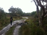 Pam on the Hind Dune Walk in Broadwater National Park