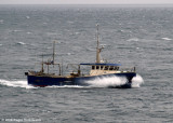 Lraberg TN 213