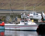 Áargarður II FD 1168