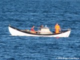 Sanna TN 351