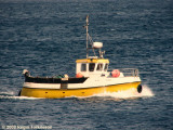 Elin TN 605