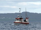 Vónin FD 784
