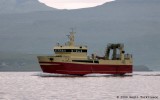Stjrnan FD 1195
