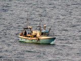 Gamli Edvard II FD 222