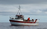 Ringlasteinur FD 152