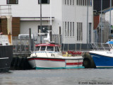 Bradrangur II TG 420