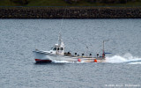 Npan VA 217