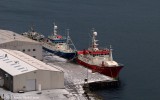 Vípan, Stapin & Kambur