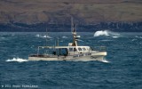 Krista Maria TN 1090