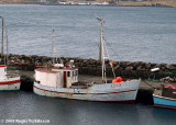 Margit J. FD 428