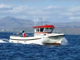 Hedvr TN 1294