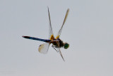 X-Wing Fighter